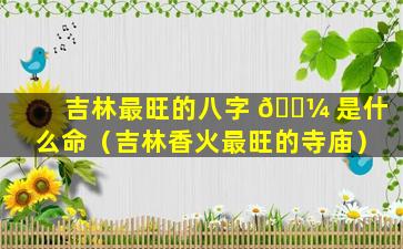 吉林最旺的八字 🐼 是什么命（吉林香火最旺的寺庙）